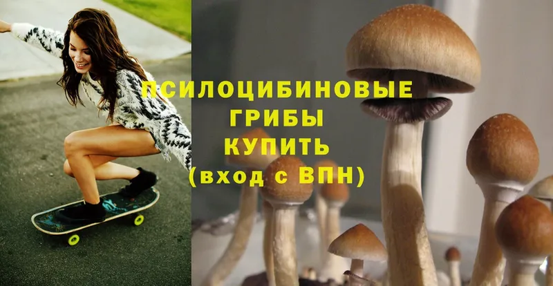 Псилоцибиновые грибы MAGIC MUSHROOMS  Большой Камень 